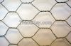 Hexagonal wire mesh
