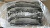 Frozen Grey Mullet Fish