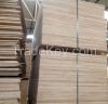Vietnam Plywood for Packing