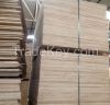 VietnamPLYWOOD FOR PACKING