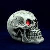 high quality human skull for Halloween decoration
