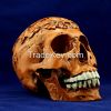 1:1 human replica skull flower plot for Halloween decoration