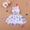 girls' dress/girls' garment/girls' cloth /children's dress