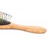 Rainbow Bristle Wooden...