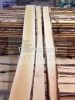 AA Quality White Birch Timber