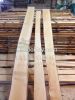 AA Quality White Birch Timber
