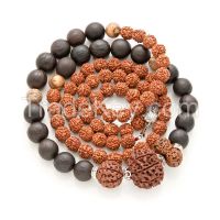 Rudraksha 1-36 faces/mukhi Indonesia genuine