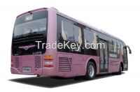 bus, city bus, coach, sightseeing bus, inner bus