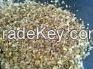 dried fish scale