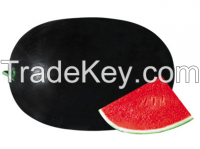 watermelon seed