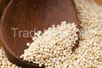 https://fr.tradekey.com/product_view/Conventional-White-Quinoa-Grain-From-Peru-8148347.html