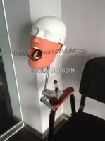 Dental Training Head Simulator Manikin