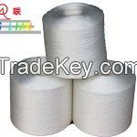 Polyester threads (high tenacity)