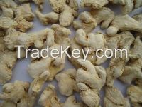 WHOLE DRIED GINGER