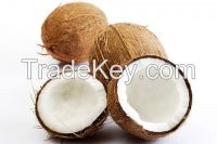 Dried Whole Coconut