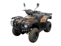 NEW CVT EEC atv 250cc