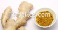 Dried ginger powder with the reasonable price in China