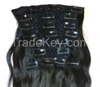 Clip-in Hair Extensions