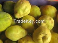 Fresh quince