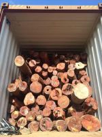 Redouk logs with bark from Cameroun