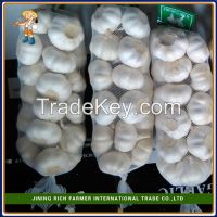 https://www.tradekey.com/product_view/2015-New-Crop-Fresh-Garlic-Packed-In-Cartons-8171426.html