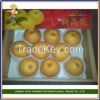 https://fr.tradekey.com/product_view/2015-New-Crop-Fresh-Ya-Pear-8178041.html