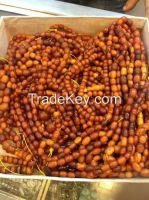 https://fr.tradekey.com/product_view/Antique-Natural-Baltic-Amber-Butterscotch-Beads-3620-Grams-20000-Usd-8166123.html