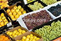 Fresh Fruits