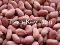 Peanut(shelled or unshelled)