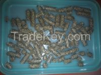 Dried Sugar Beet Pulp Pellets