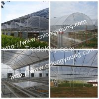 Commercial Multi-span Greenhouses for Profesional Projects and Hydropo