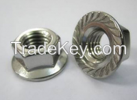 hot sale Glavanized carbon steel  DIN6923 Hex flange nut