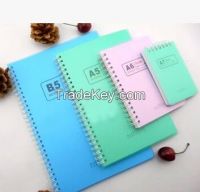 A5 A6 B5 PP Cover Hot Sale Sprial Notebook