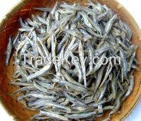 dried anchovy