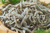 whole round anchovy