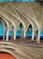 Coconut broom/ broom with wood handle/ Grass broom