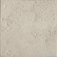 Pool Paver: Coral