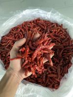 Dried Red Chilly