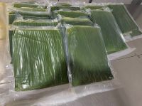 frozen banana leaves