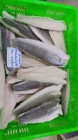 SNAKEHEAD FISH FILLET