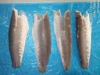 FROZEN SNAKEHEAD FILLET