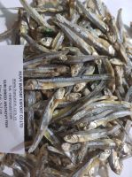 DRIED ANCHOVY FISH