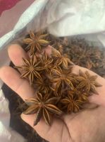 star anise