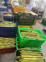 Raw Fresh Sugarcane