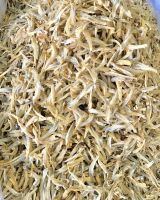 DRIED FILLET ANCHOVY FISH