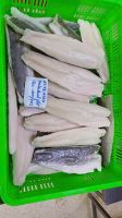 SNAKEHEAD FISH FILLETS