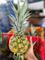 Frozen pineapple