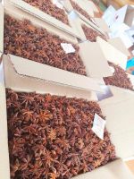 DRIED STAR ANISE