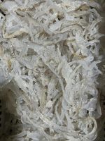 FROZEN JELLY FISH