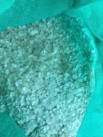 DRIED FISH SCALES